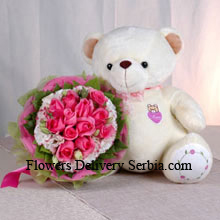 Bunch Of 11 Pink Roses And A Medium Sized Cute Teddy Bear Delivered in Serbia