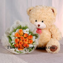Bunch Of 11 Orange Roses And A Medium Sized Cute Teddy Bear Delivered in Serbia