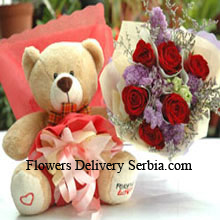 Bunch Of 7 Red Roses And A Medium Sized Cute Teddy Bear Delivered in Serbia