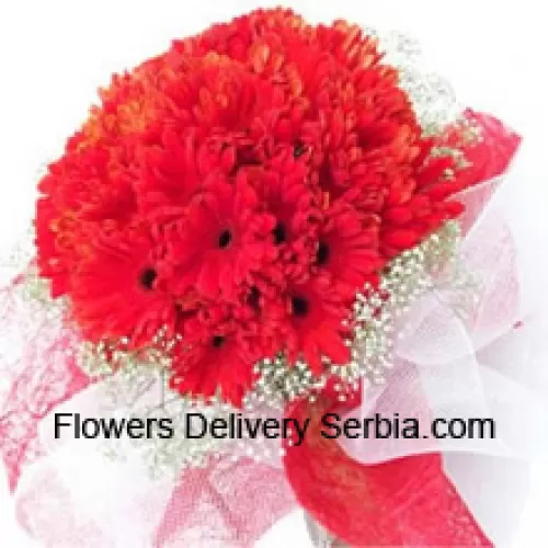 A Beautiful Bunch Of 37 Red Gerberas With Seasonal Fillers