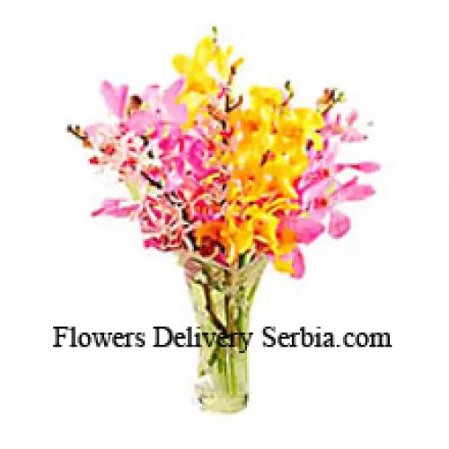 Orchidées de couleur mélangée dans un vase